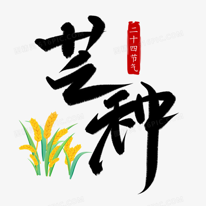 芒种节气毛笔字书法艺术字