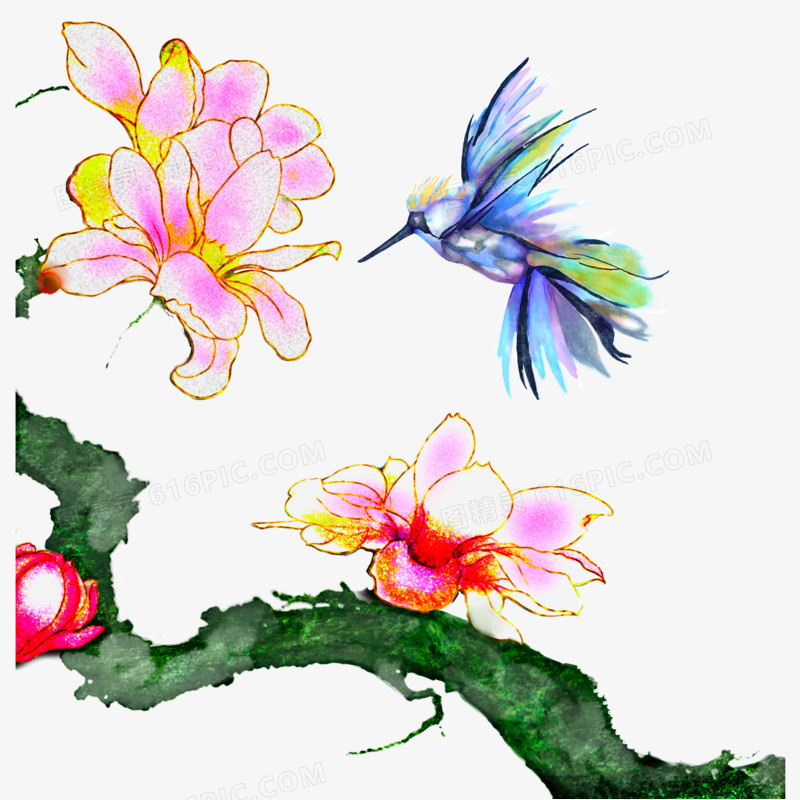 手绘蜂鸟与花免抠素材