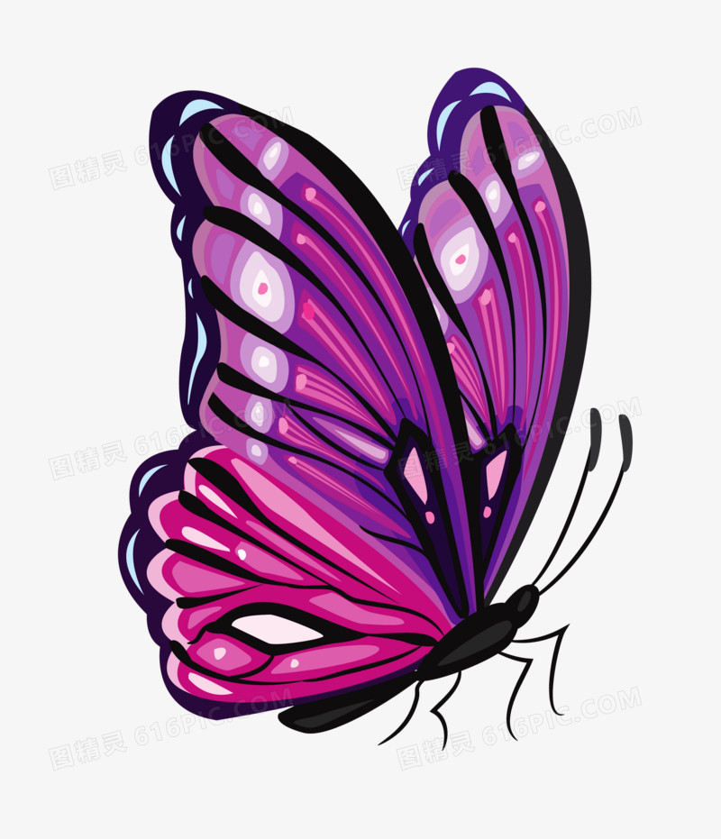 紫色手绘蝴蝶