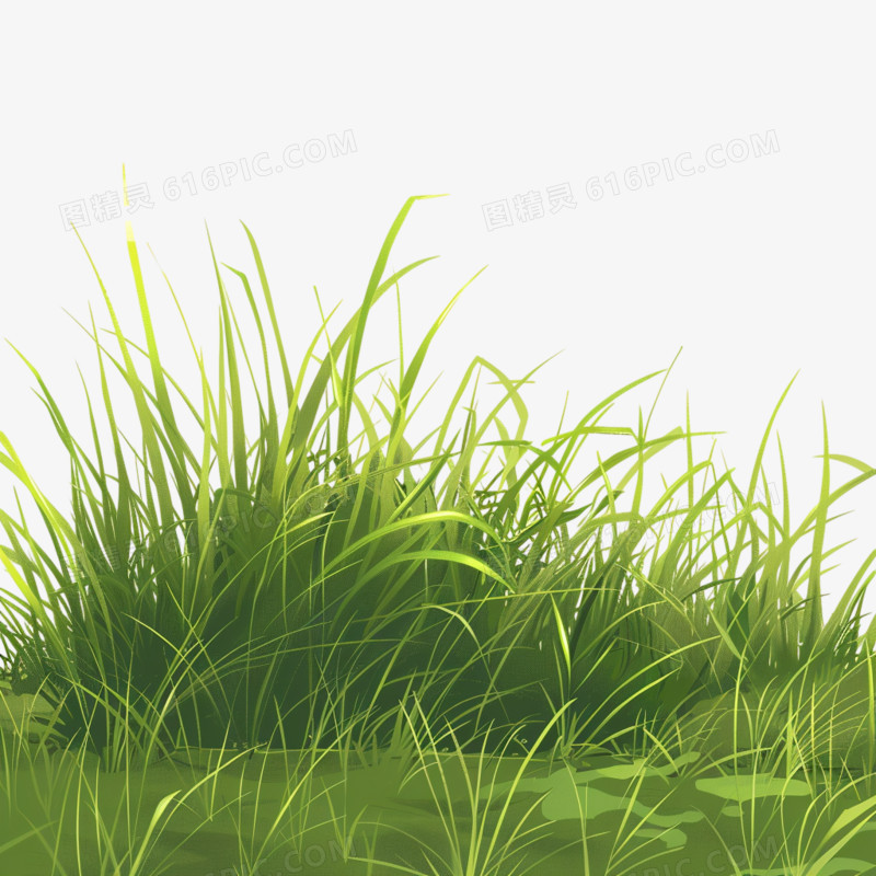草地绿草叶子免抠元素