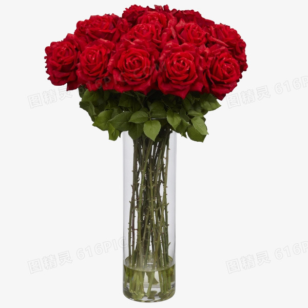 花瓶中的红玫瑰