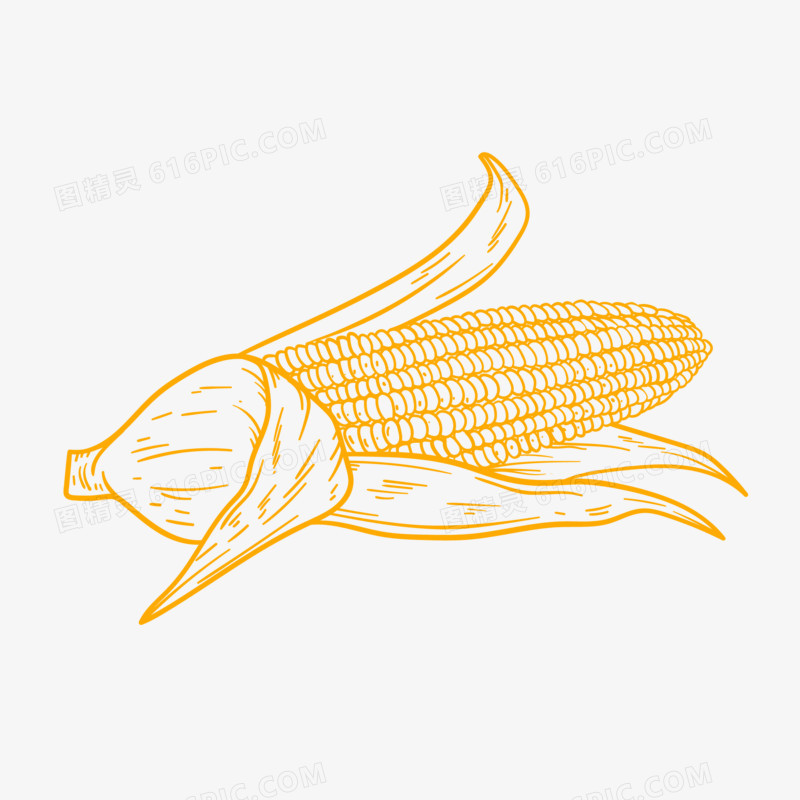 手绘玉米线稿免抠素材