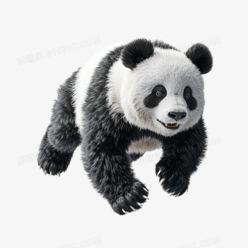 动物熊猫免抠元素