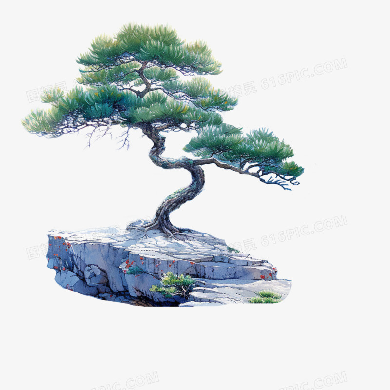 水彩画古风植物悬崖边上的松树免抠元素