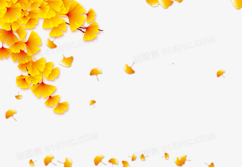黄色柏果树叶子