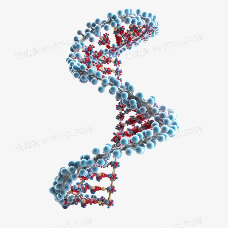 病毒DNA分子结构细菌免抠元素