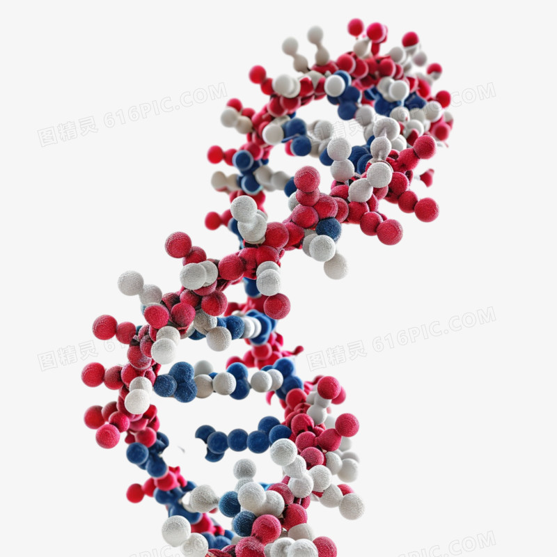 病毒DNA分子结构免抠元素