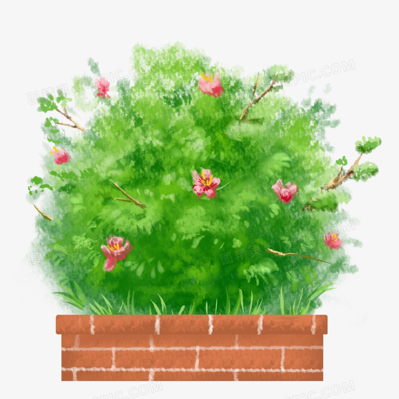 卡通手绘夏季植物灌木丛元素