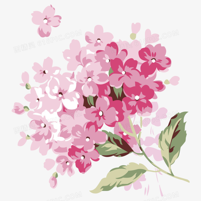 手绘花朵