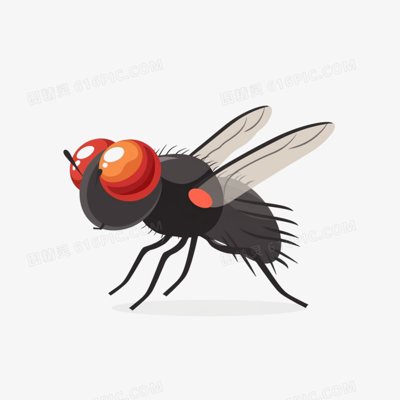 昆虫苍蝇免抠元素