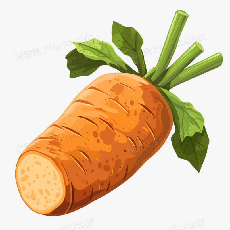 蔬菜胡萝卜免抠元素