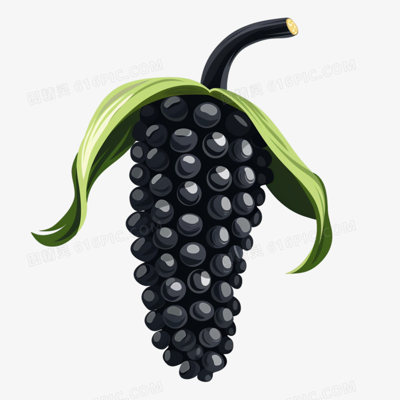 蔬菜黑玉米免抠元素