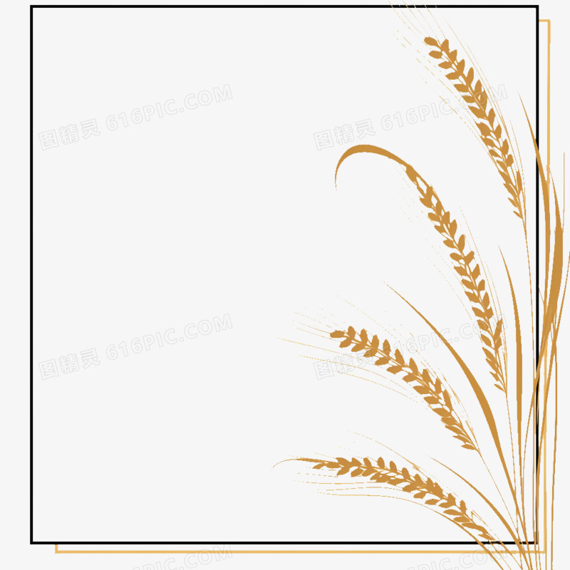 卡通风矩形麦子边框免抠元素