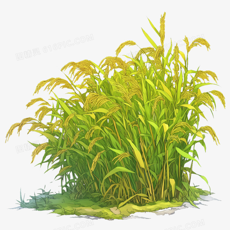 卡通风农业水稻田免抠元素