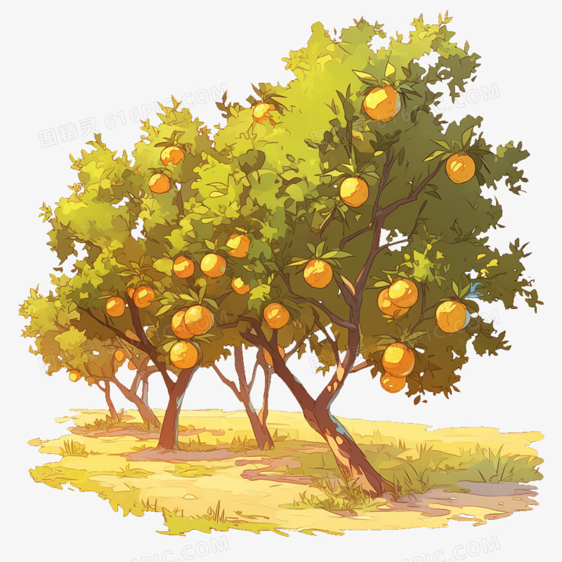 卡通风农业橙子果园免抠元素