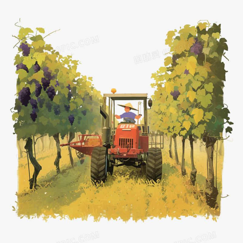 卡通风农业农民收割葡萄免抠元素