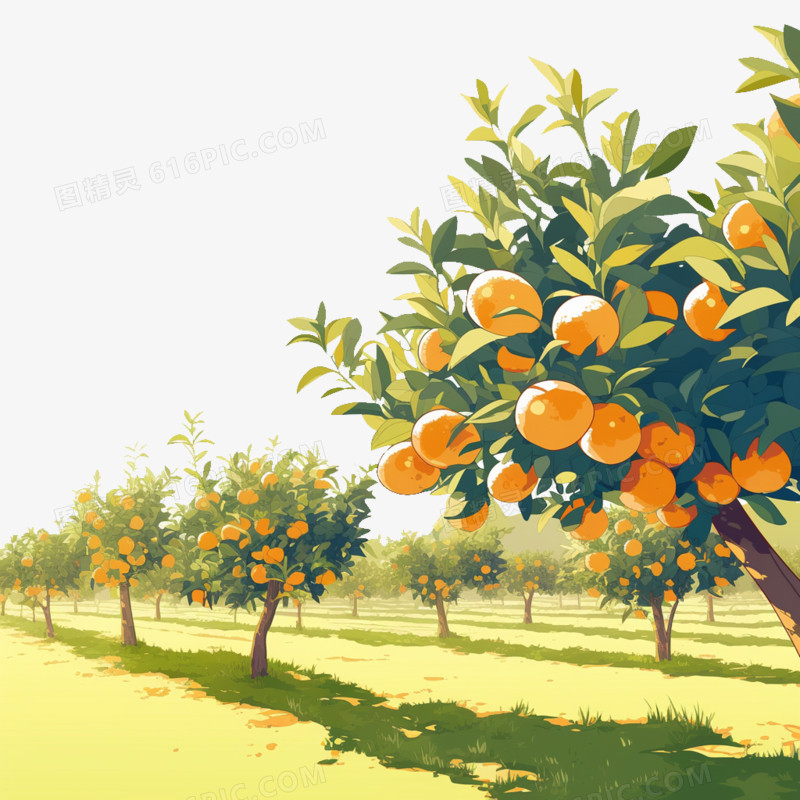 卡通风农业橙子园免抠元素