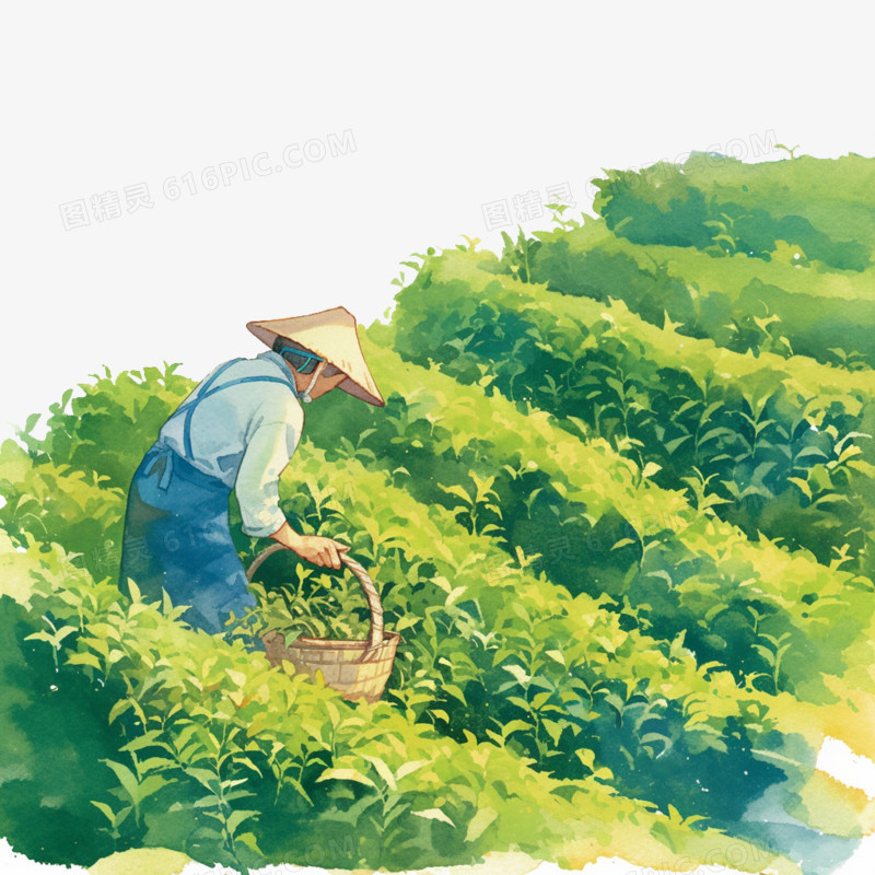卡通风农业农民在梯田里采茶免抠元素