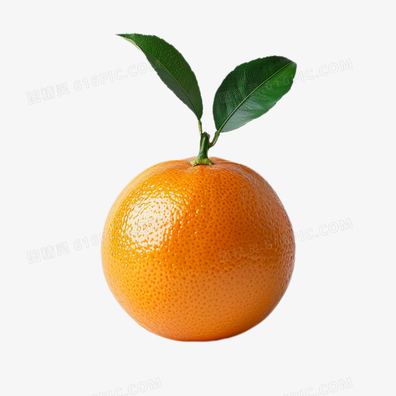 摄影水果橙子免抠元素