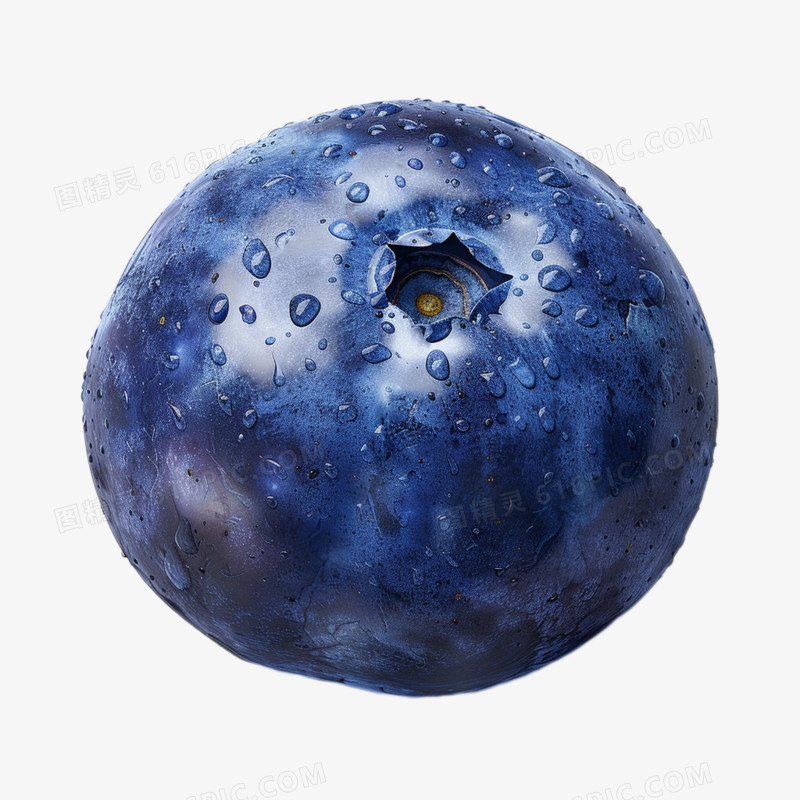 摄影水果蓝莓免抠元素