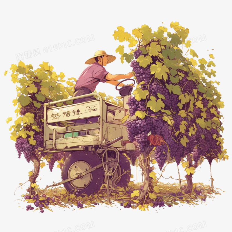 卡通风农民采摘葡萄免抠元素