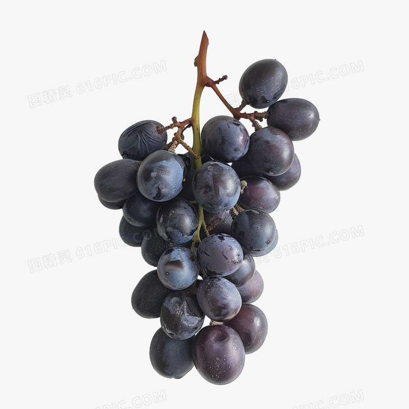 摄影实拍葡萄水果免抠元素