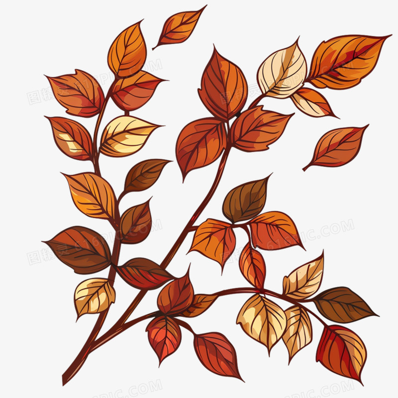 秋季树叶免抠元素