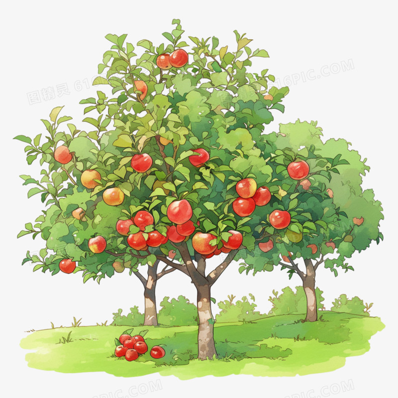 苹果园果园免抠元素