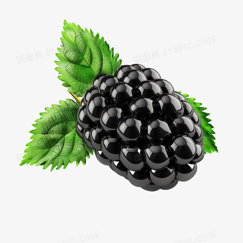黑莓实拍免抠元素