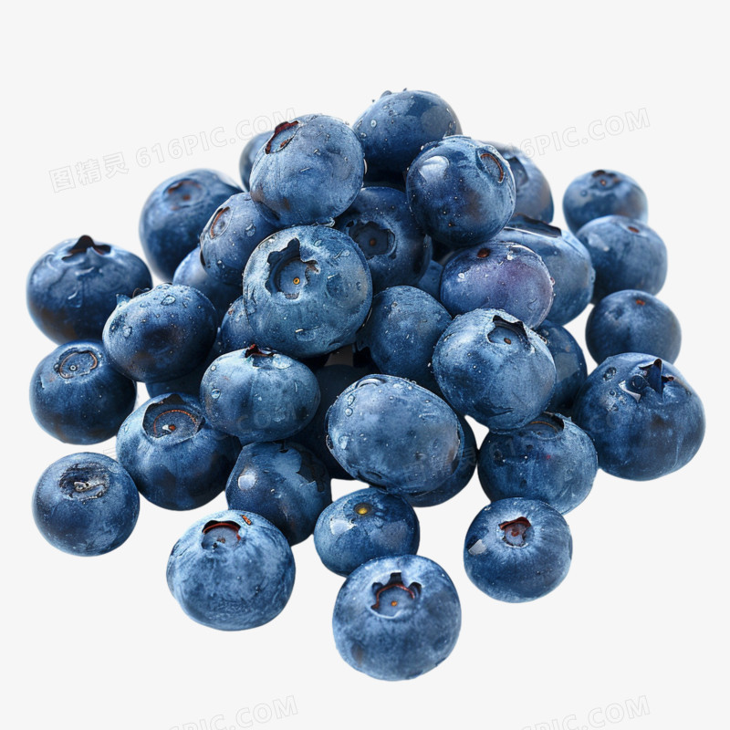 蓝莓实拍免抠元素