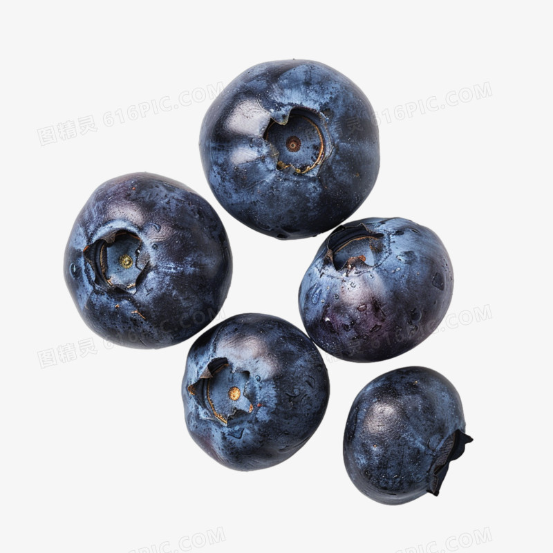 蓝莓实拍免抠元素