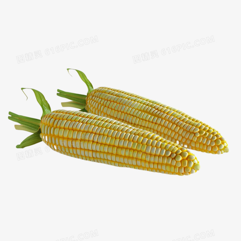 实拍玉米蔬菜免抠元素