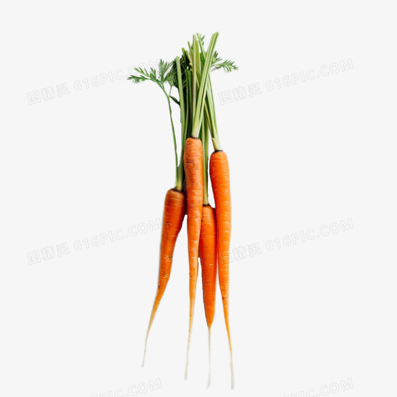 摄影实拍蔬菜一把胡萝卜免抠元素