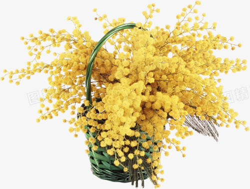 花素材