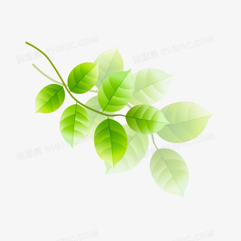 卡通清新春天树叶