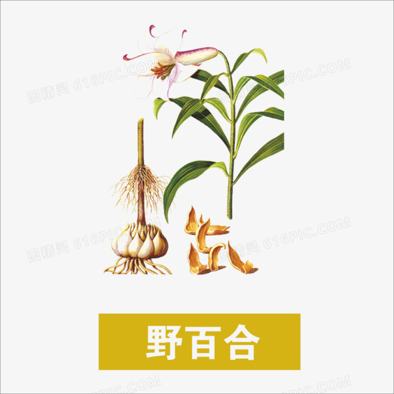 草药