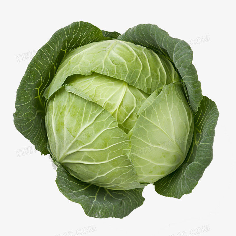 实拍蔬菜食材白菜免抠元素