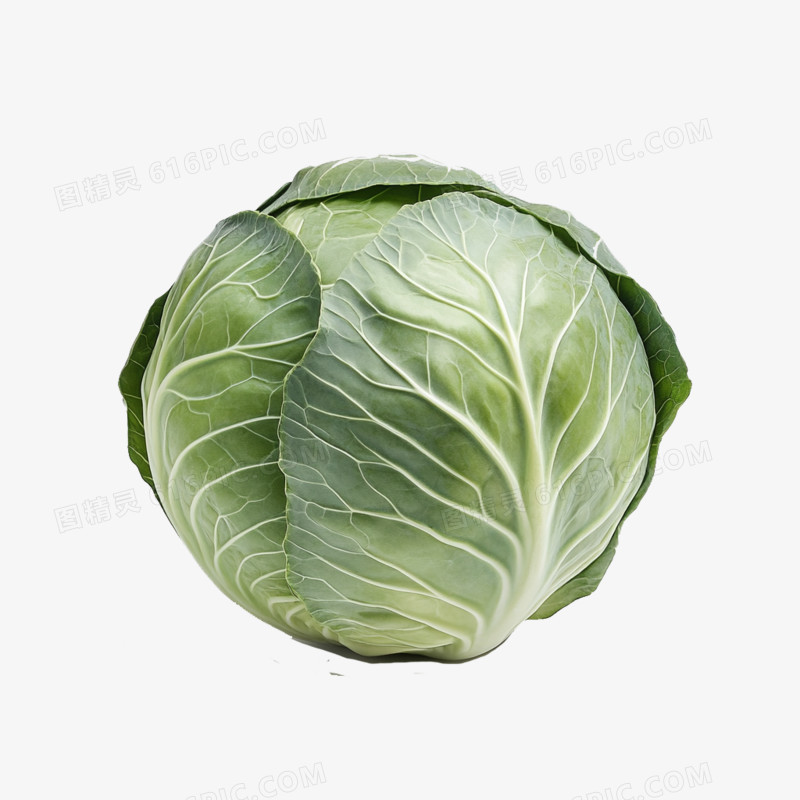 实拍蔬菜食材白菜免抠元素