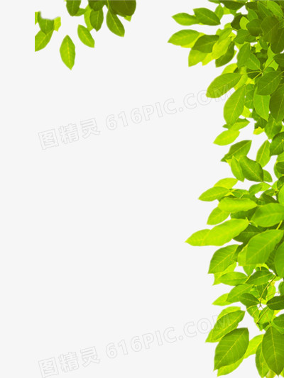 边框素材