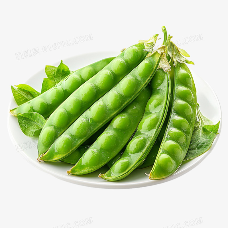 豌豆植物的免抠元素