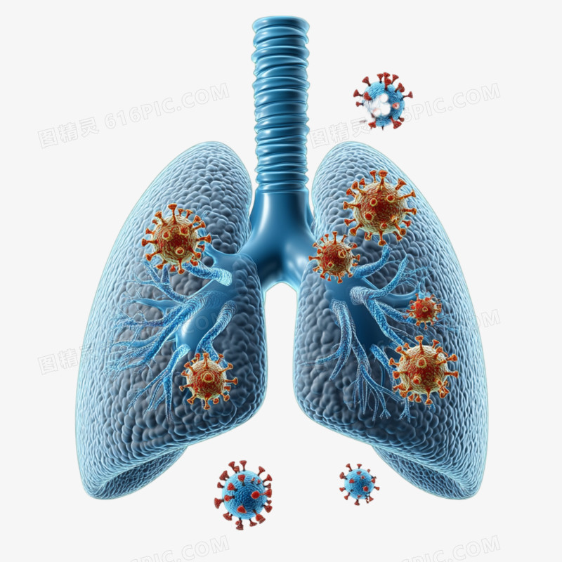 3D意肺炎人体透视的免抠元素