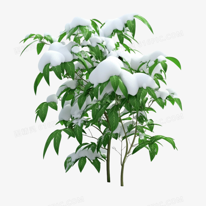 冬天通用元素雪压植物免抠元素