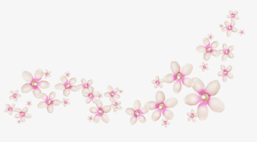 花卉