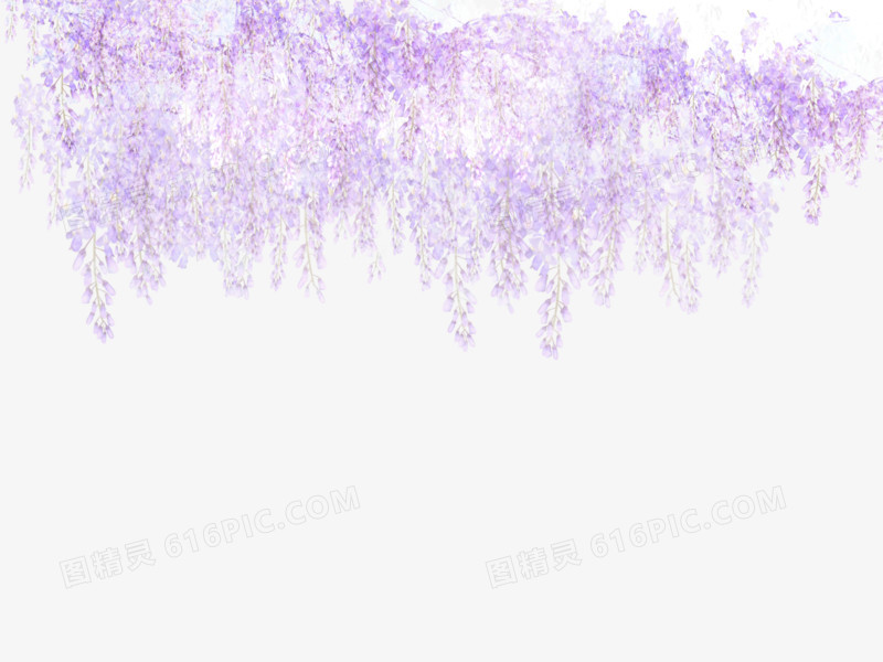 紫色花朵日式图案