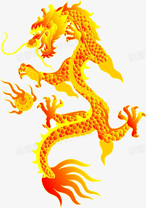 龙