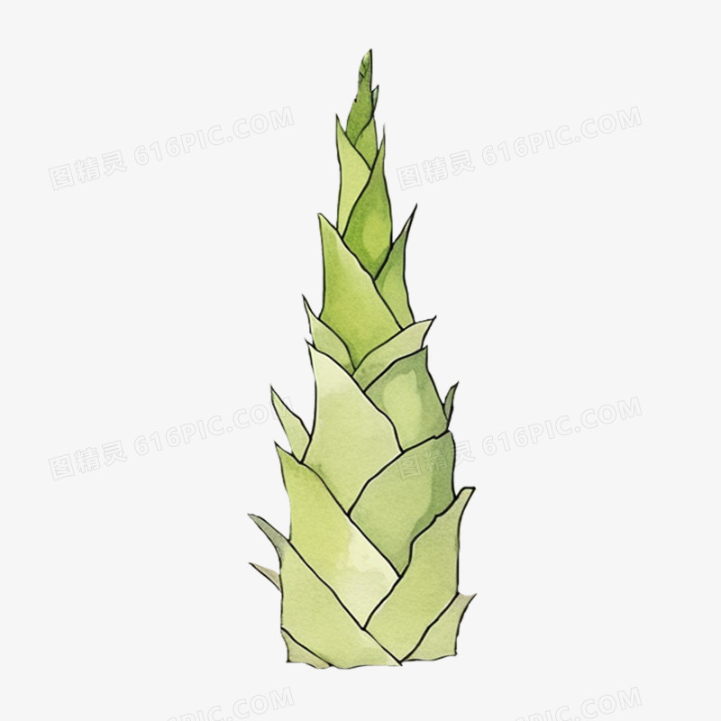 水彩风格冬天蔬菜一颗冬笋免抠元素