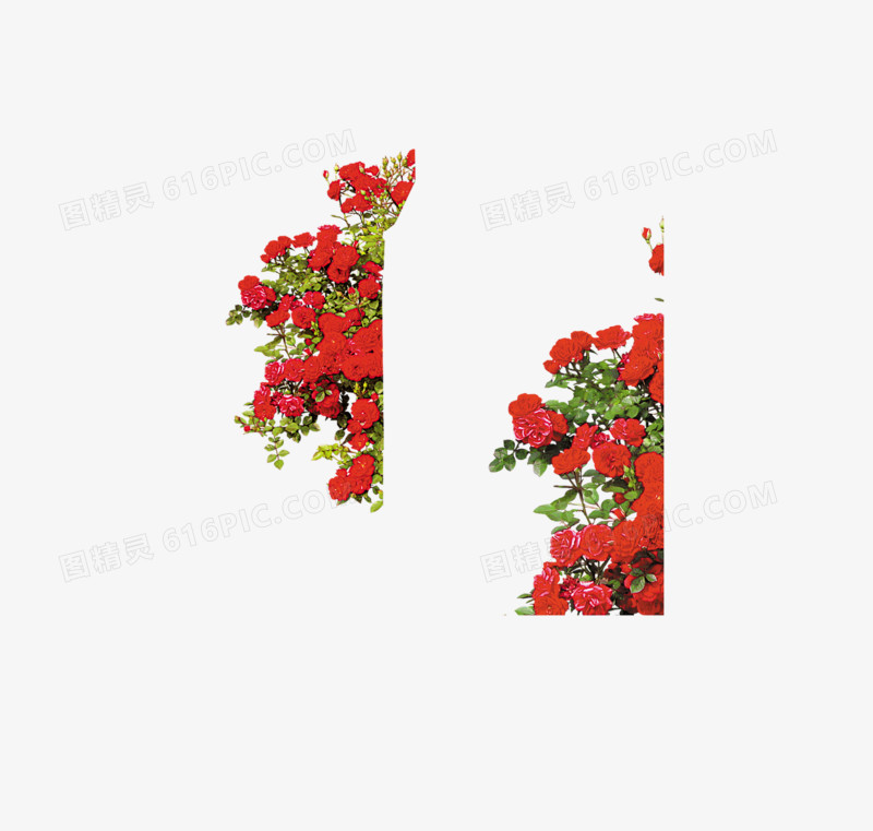 花卉
