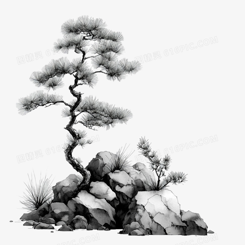 水墨风植物松柏免抠元素