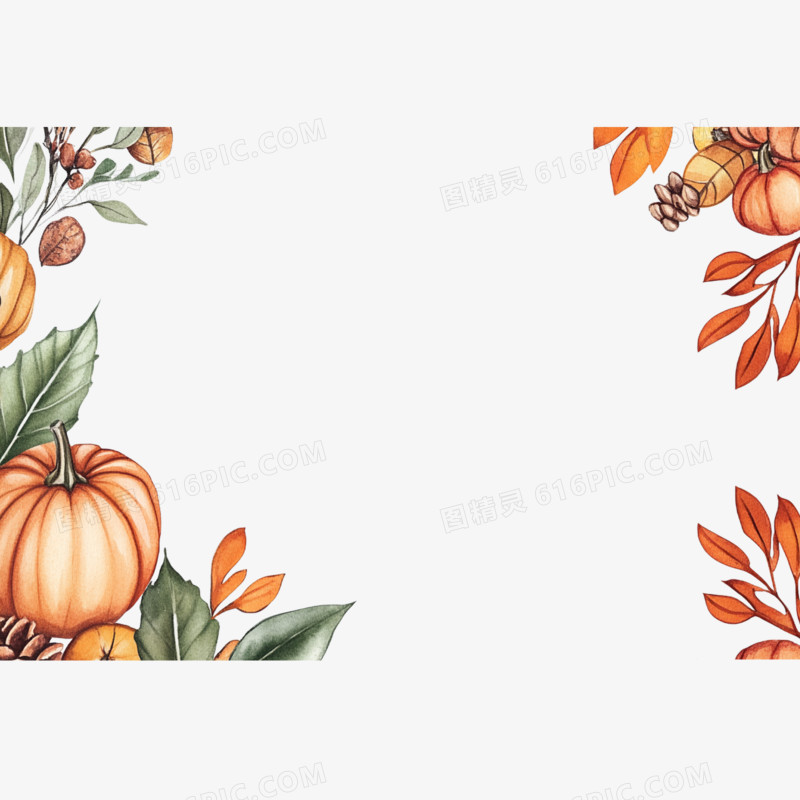 插画风格植物半包边框免抠元素