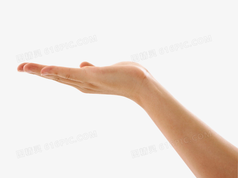 手